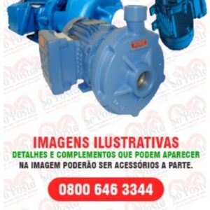 BOMBA TRANSF LIQ MT BLINDADO WEG 2CV TRIF VAZÃO 20M3/H  ENT 2'' X SAI 1.1/2" ROTOR FERRO FUND S/ACESSÓRIOS - RUDC
