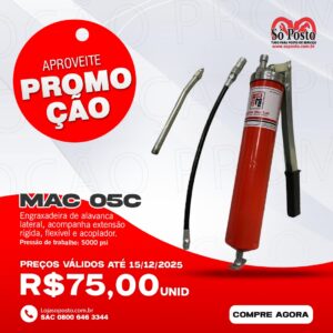 ENGRAXADEIRA MANUAL  MANUAL ALAVANCA LATERAL 5.000 PSI CAPAC 500G - MAC LUB